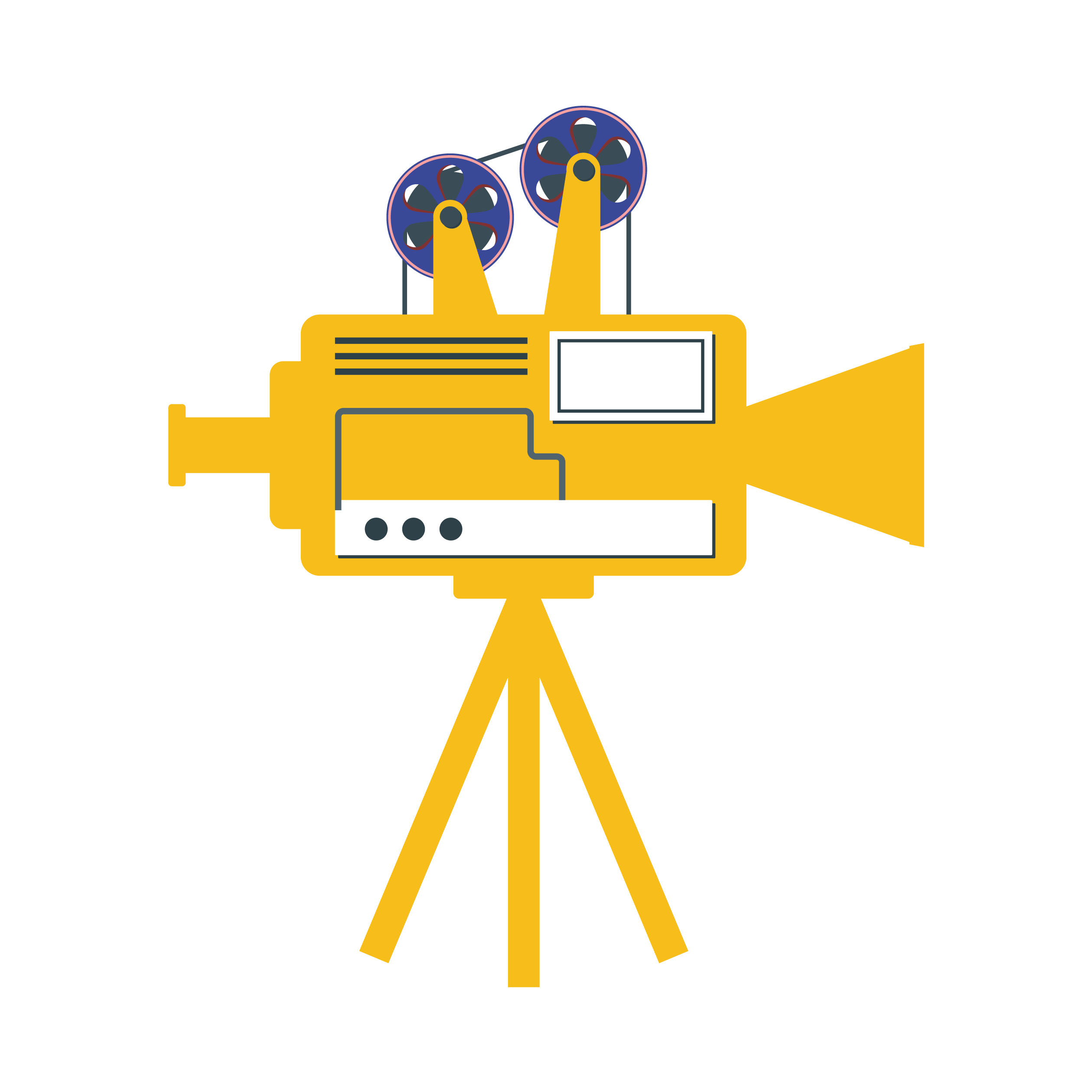 التصوير والميديا